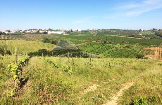 3003 | Propriedade com 12ha em aldeia perto de Bombarral e Óbidos