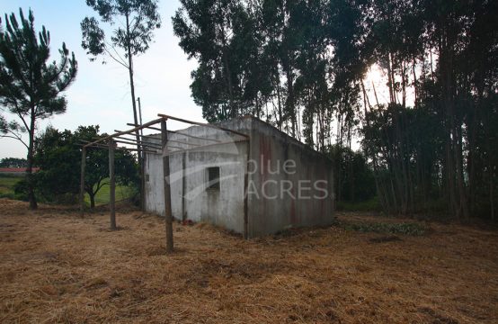 3022 | Terreno urbano com construção, aldeia a 10 minutos de Óbidos