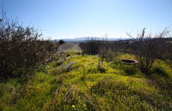 3024 | Rustic land, buildable, 10 minutes from Bombarral and 15 from Óbidos