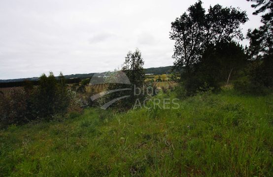 3032 | Terreno rústico com 8.920m², a 5 minutos da praia de Salir do Porto