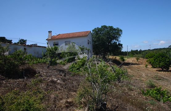 1142 | Grande propriedade, casa com 2 pisos, arrecadação, Sra. da Luz, Óbidos