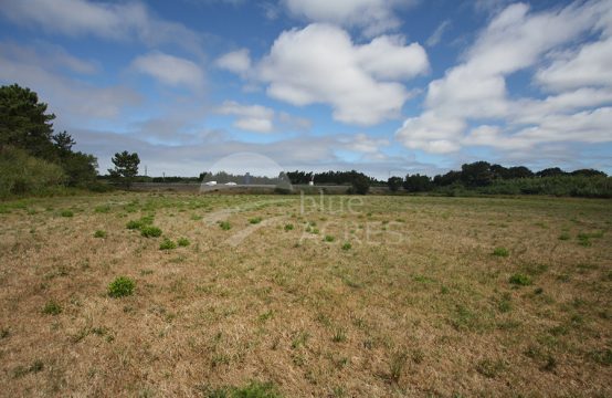 3037 | Terreno para comércio, serviços ou indústria, junto à A8, Caldas da Rainha