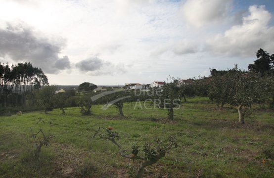 3038 | Grande propriedade, parcialmente urbanizável, bom acesso, vista excelente, Bombarral