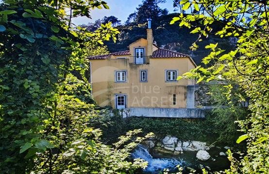 1167 | Pequena moradia T2, encantadora, em local exclusivo, entre Óbidos e Bombarral