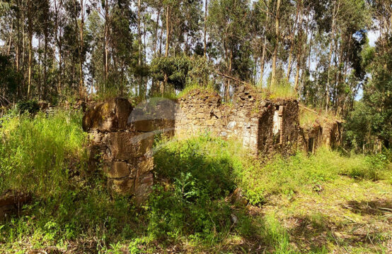 3046 | Habitação em estado de ruína, com grande terreno, a 5 min. de Caldas da Rainha e Óbidos