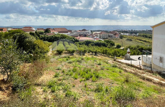3050 | Terreno para construção de uma moradia, local tranquilo, vista panorâmica, Usseira